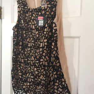 Sleeveless top. Black lace over tan.